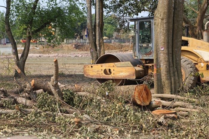 Người dân tiếc nuối vì nhiều cây xanh quanh hồ Bình Sơn bị chặt hạ, di dời