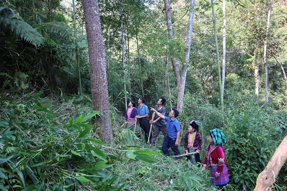 Lai Châu: Chi trả gần 3,7 tỷ đồng dịch vụ môi trường rừng cho 2 xã vùng cao