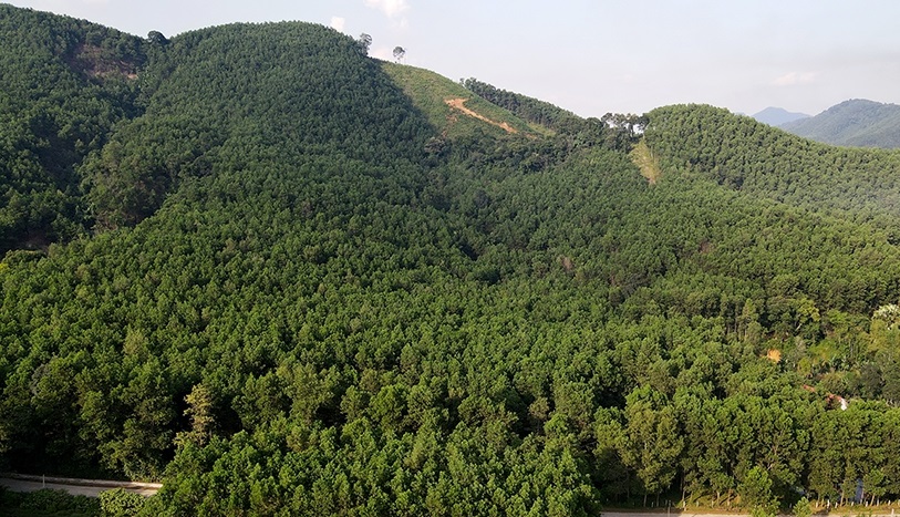 Chuyển đổi số trong triển khai chi trả dịch vụ môi trường rừng