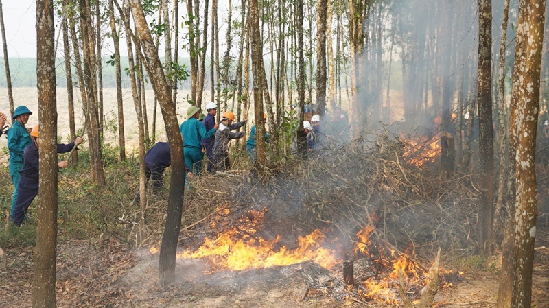 Khoanh vùng trọng điểm chủ động phòng, chống cháy rừng mùa khô