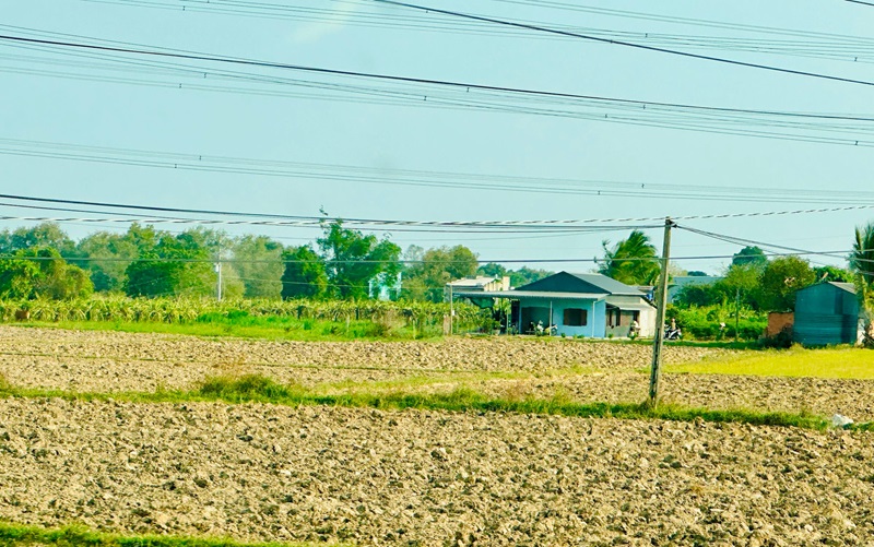 Bắc Bình (Bình Thuận): Dự kiến sản xuất hơn 15.000ha cây lương thực vụ Hè Thu