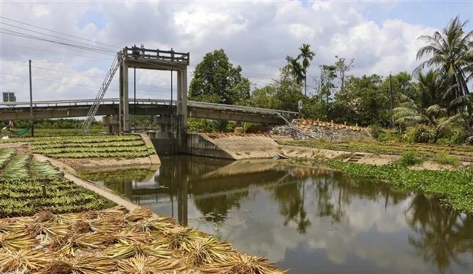 Xâm nhập mặn ở Đồng bằng sông Cửu Long sẽ giảm từ tháng 5