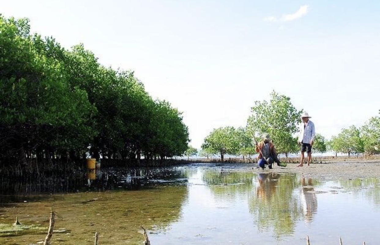 Bảo tồn đa dạng sinh học tại các vùng đất ngập nước