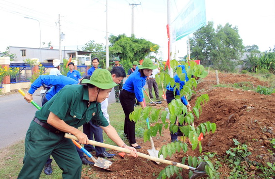 Đà Nẵng nâng cao hiệu quả triển khai Đề án trồng một tỷ cây xanh