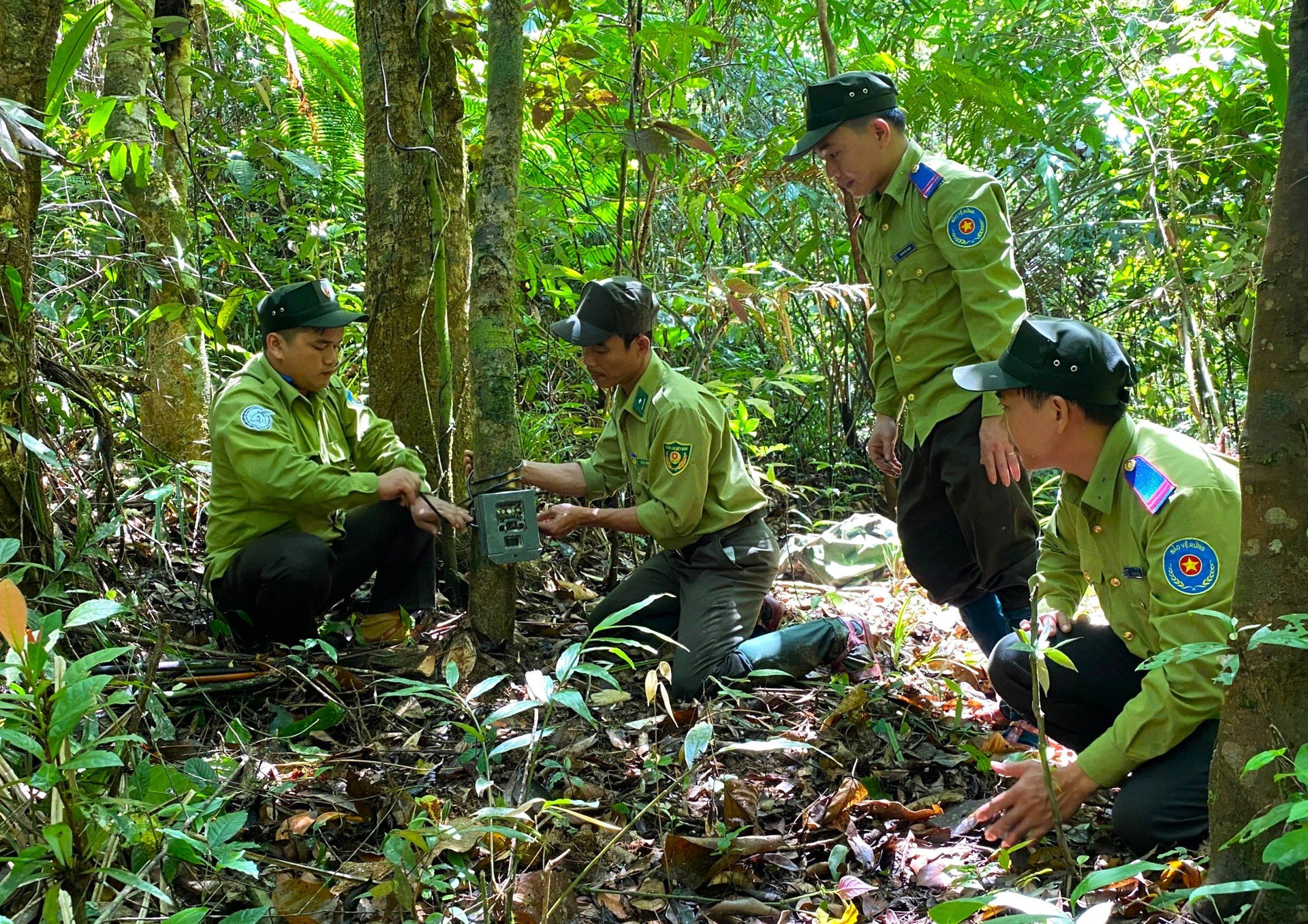 Nâng cao trách nhiệm cộng đồng trong bảo tồn đa dạng sinh học