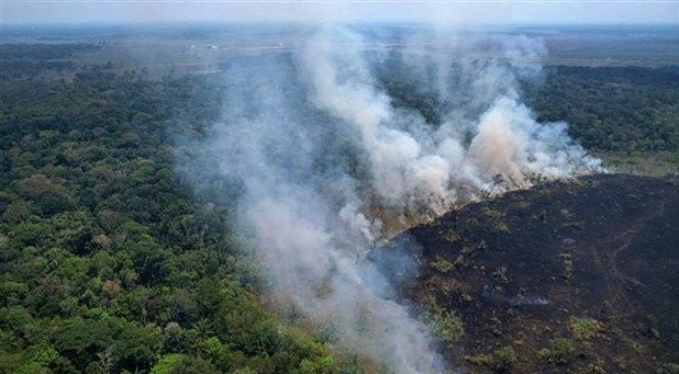 Brazil: Báo động tình trạng cháy rừng khu vực Amazon