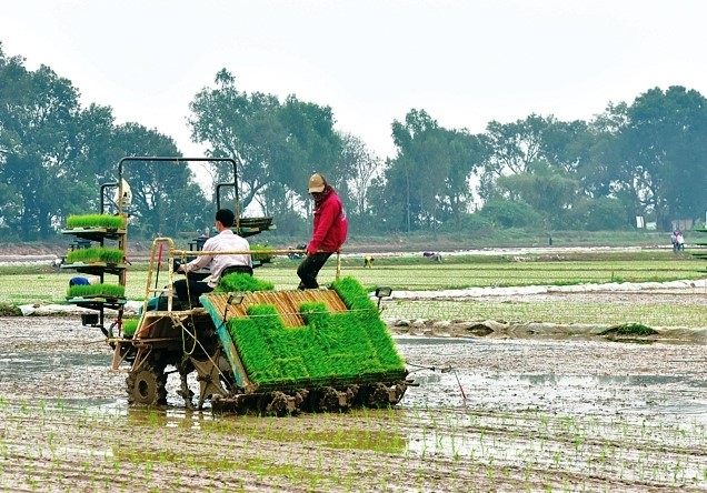 Ứng dụng cơ giới hóa đồng bộ trong sản xuất nông nghiệp