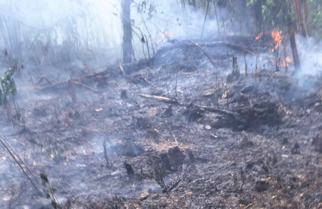 Điện Biên: Cháy rừng khiến hơn 1.000 hộ dân thiếu nước sinh hoạt