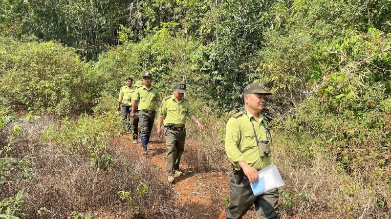 Tăng cường bảo vệ, phát triển rừng