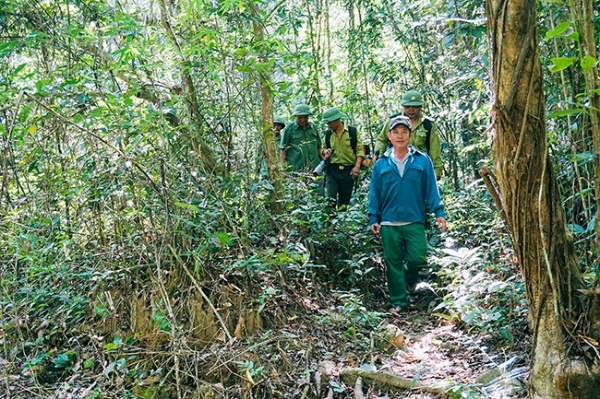 Tăng cường phối hợp quản lý, bảo vệ rừng vùng giáp ranh