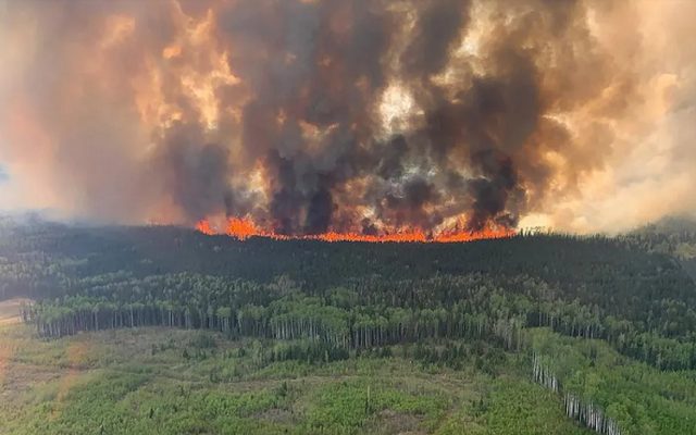 Hơn 10 triệu ha rừng tại Canada bị lửa thiêu rụi