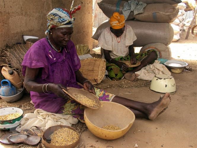 Nigeria ban bố tình trạng khẩn cấp về lương thực