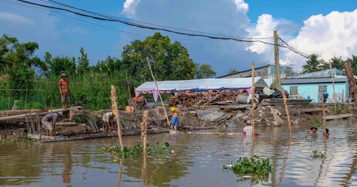 Trà Vinh: Công bố tình huống khẩn cấp sạt lở bờ sông Cổ Chiên