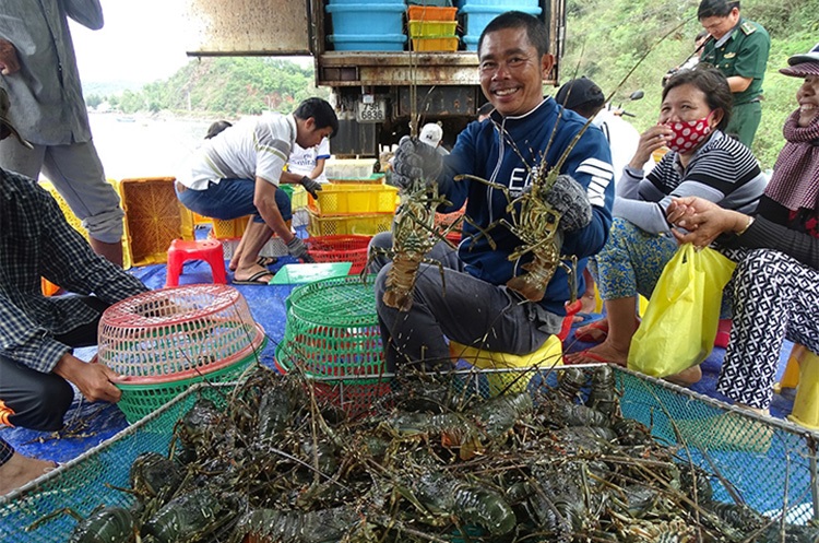 Cam Ranh (Khánh Hòa): Đa dạng các hoạt động tại Lễ hội tôm hùm