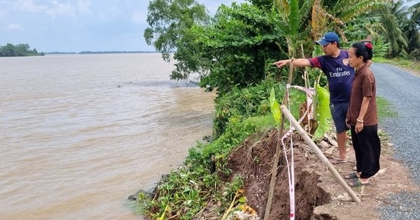 Cầu Kè (Trà Vinh): Công bố tình huống khẩn cấp sạt lở đường ven sông Hậu