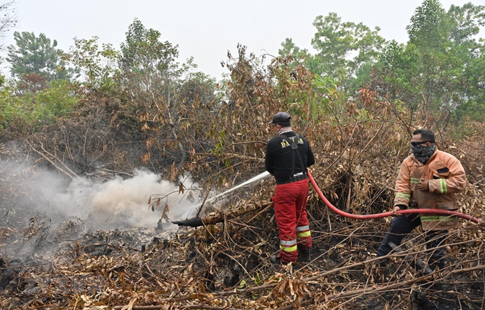 Indonesia: Cảnh báo nguy cơ cháy rừng do nắng nóng