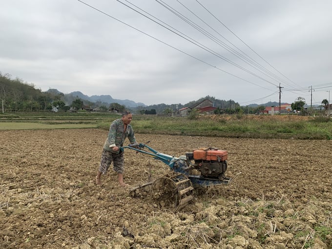 Lạng Sơn: Đẩy nhanh tiến độ thu hoạch cây trồng vụ Xuân