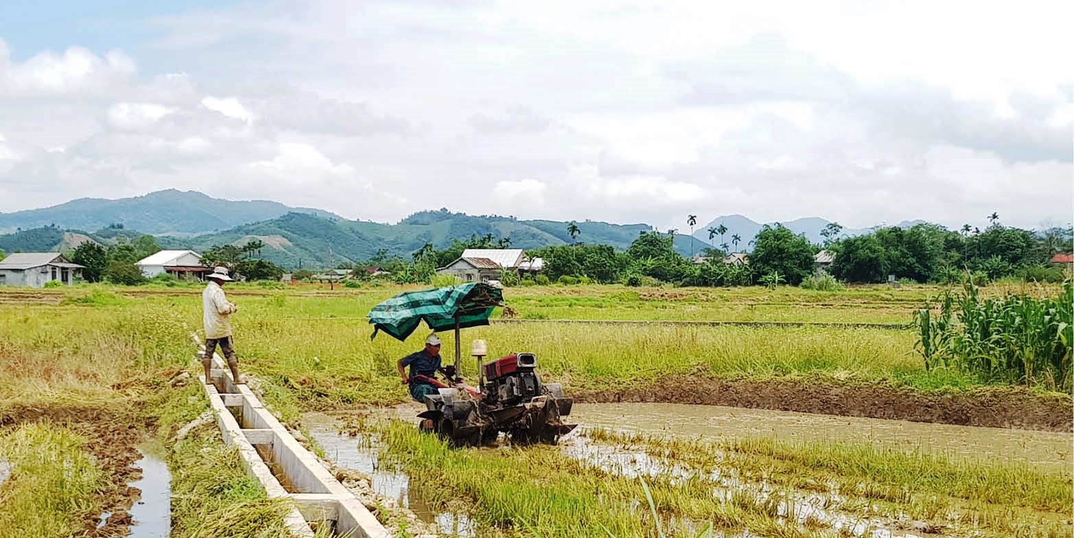 Quảng Trị: Phân bổ hơn 12,7 tỷ đồng ứng phó hạn hán, xâm nhập mặn