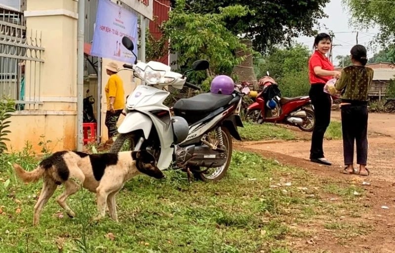 Gia Lai: Thêm 1 người tử vong do bệnh dại