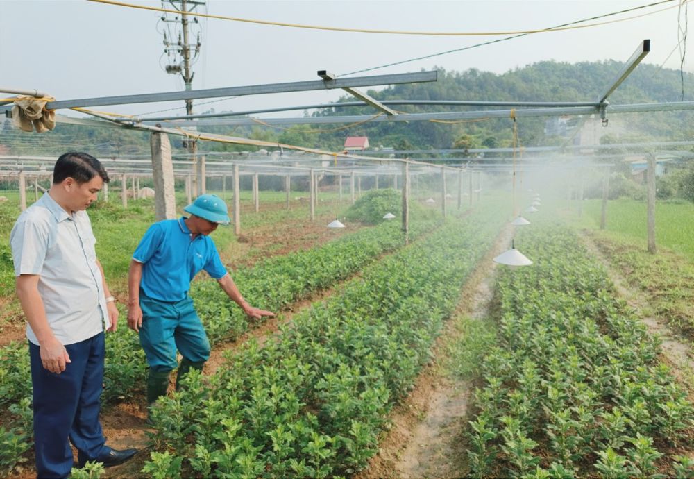 Lào Cai tích cực chuyển đổi số trong xây dựng nông thôn mới