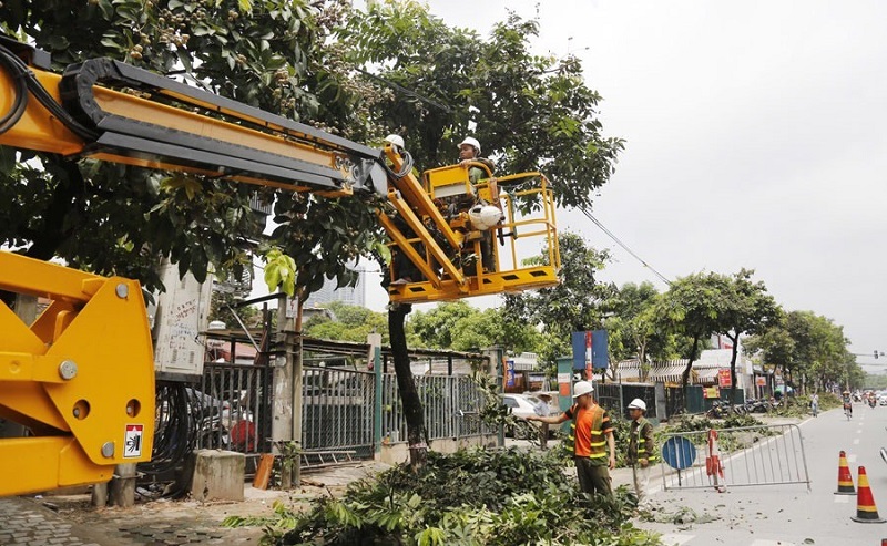 Đà Nẵng đảm bảo an toàn cây xanh mùa mưa bão