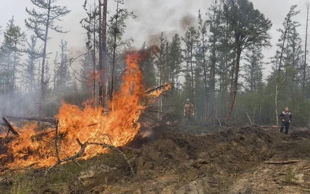 Nga: Sơ tán các trại hè trẻ em ở vùng Siberia do cháy rừng