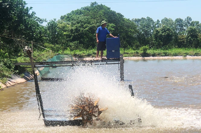 Hà Nội hỗ trợ kinh phí bảo vệ môi trường trong sản xuất nông nghiệp