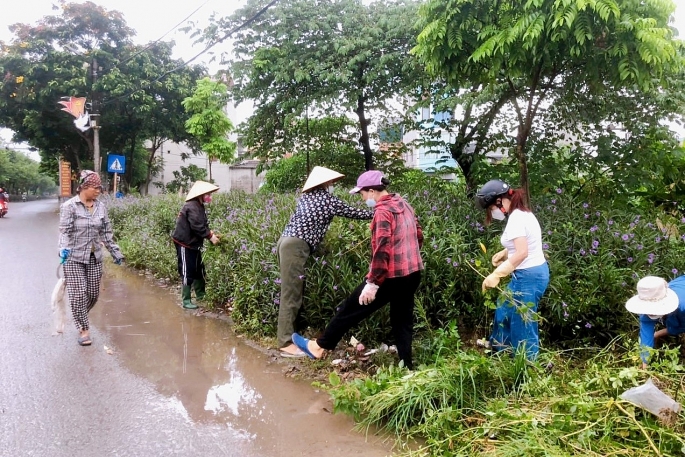 Hà Nội tăng cường giám sát, xử lý các ổ dịch xuất huyết