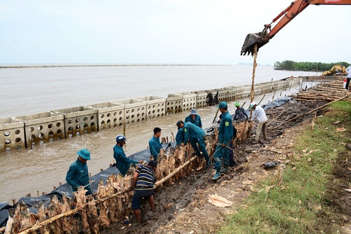 Cà Mau chủ động phương án hộ đê trong mùa mưa bão