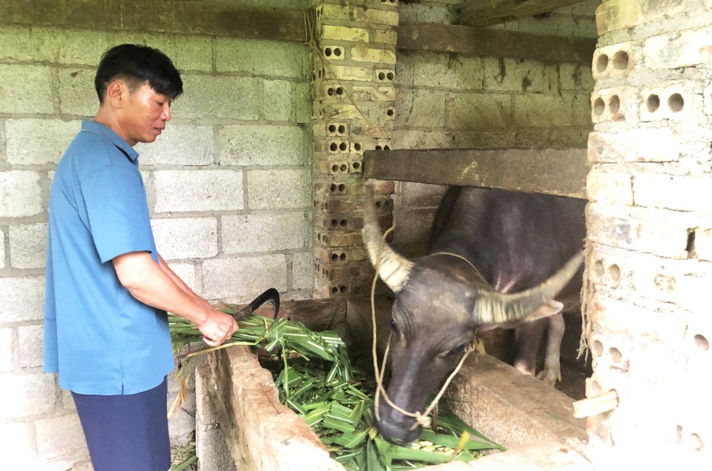 Cao Bằng: Gần 1.500 lao động nông thôn được đào tạo nghề nông nghiệp