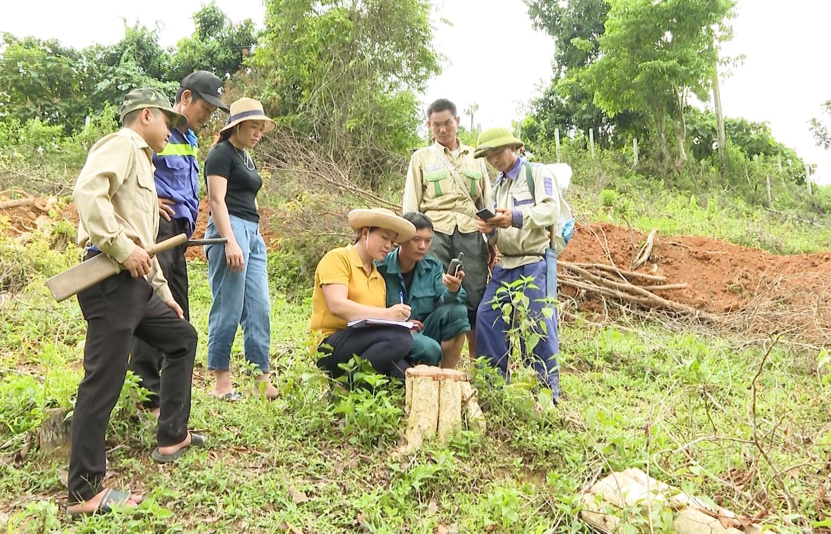 Công nghệ số góp phần quản lý và bảo vệ rừng hiệu quả