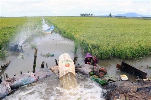 Kiên Giang chủ động ứng phó với lũ nội đồng