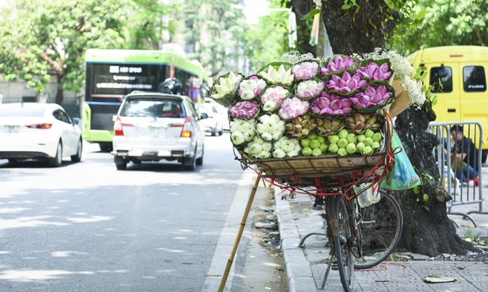 Tin thời tiết ngày 23/6: Khu vực Bắc Bộ ngày oi nóng, chiều tối mưa dông