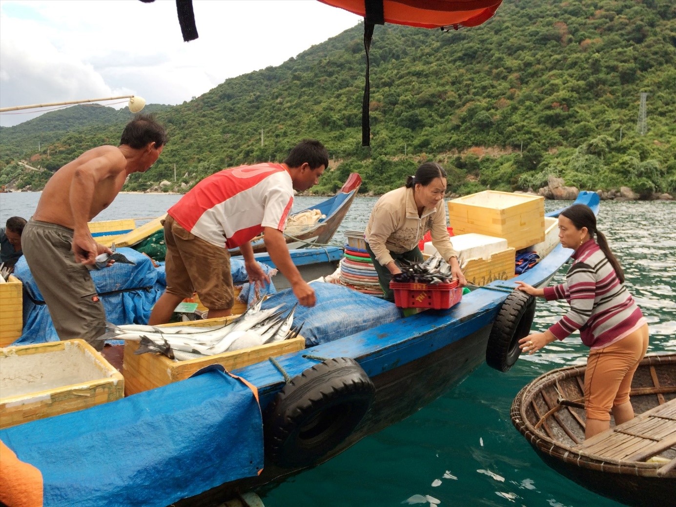 Quảng Nam: Xây dựng danh mục nghề được khai thác tại Khu bảo tồn biển Cù Lao Chàm