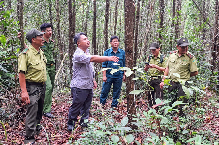 Phú Yên ứng dụng công nghệ cao trong quản lý, bảo vệ rừng