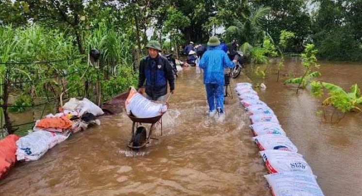 Thái Bình: 31 công trình đê điều cần cải tạo, nâng cấp sau bão lũ