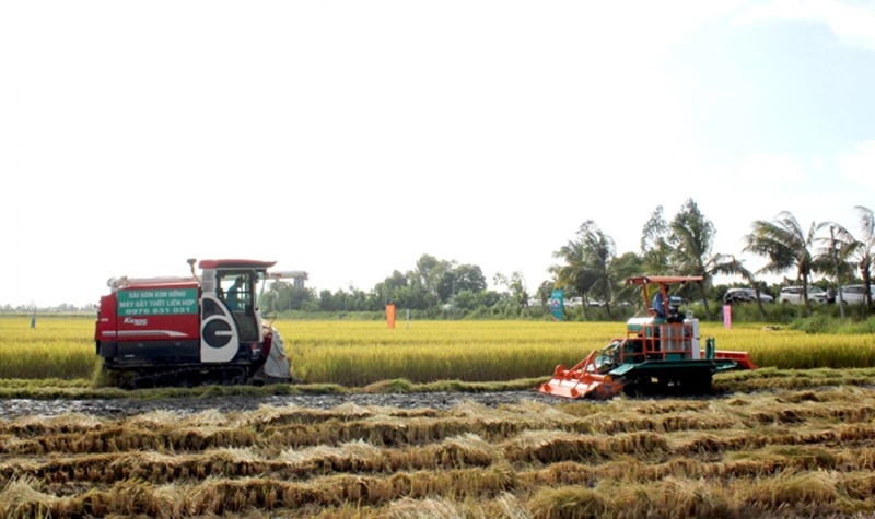 Đồng Tháp hình thành vùng chuyên canh lúa chất lượng cao, phát thải thấp