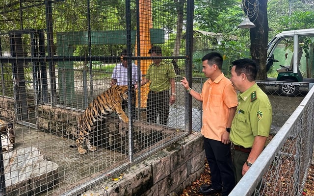 Kiểm soát nguy cơ nhiễm cúm gia cầm trên động vật hoang dã