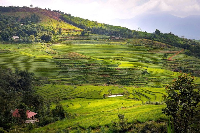 Khai thác lợi thế, phát triển du lịch ruộng bậc thang Miền Đồi