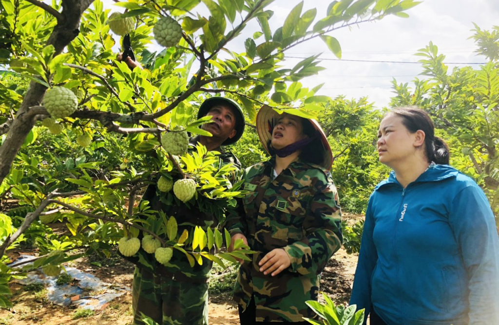 Quảng bá, tiêu thụ sản phẩm nông nghiệp trên nền tảng số