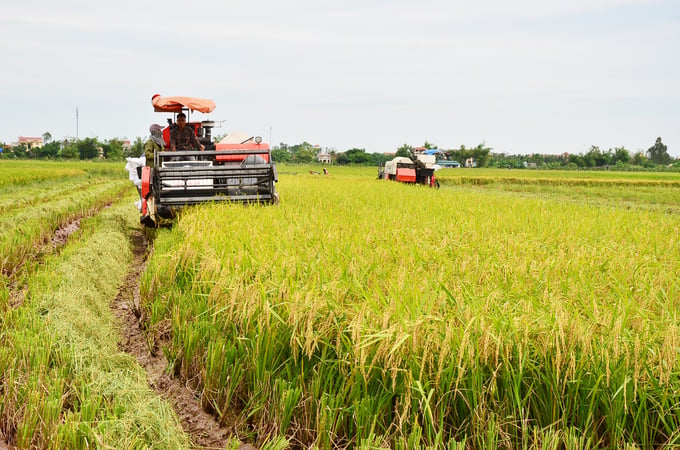 Thí điểm công nghệ đo lường giảm phát thải trong trồng lúa