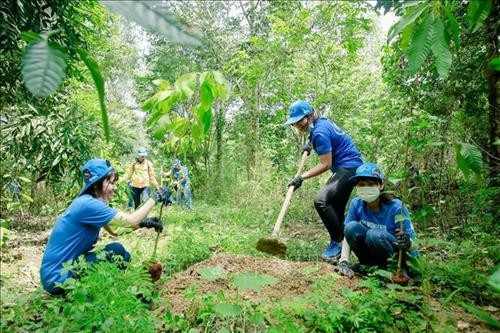 Đồng Nai: Trồng hơn 560 ha rừng trong 4 tháng đầu năm