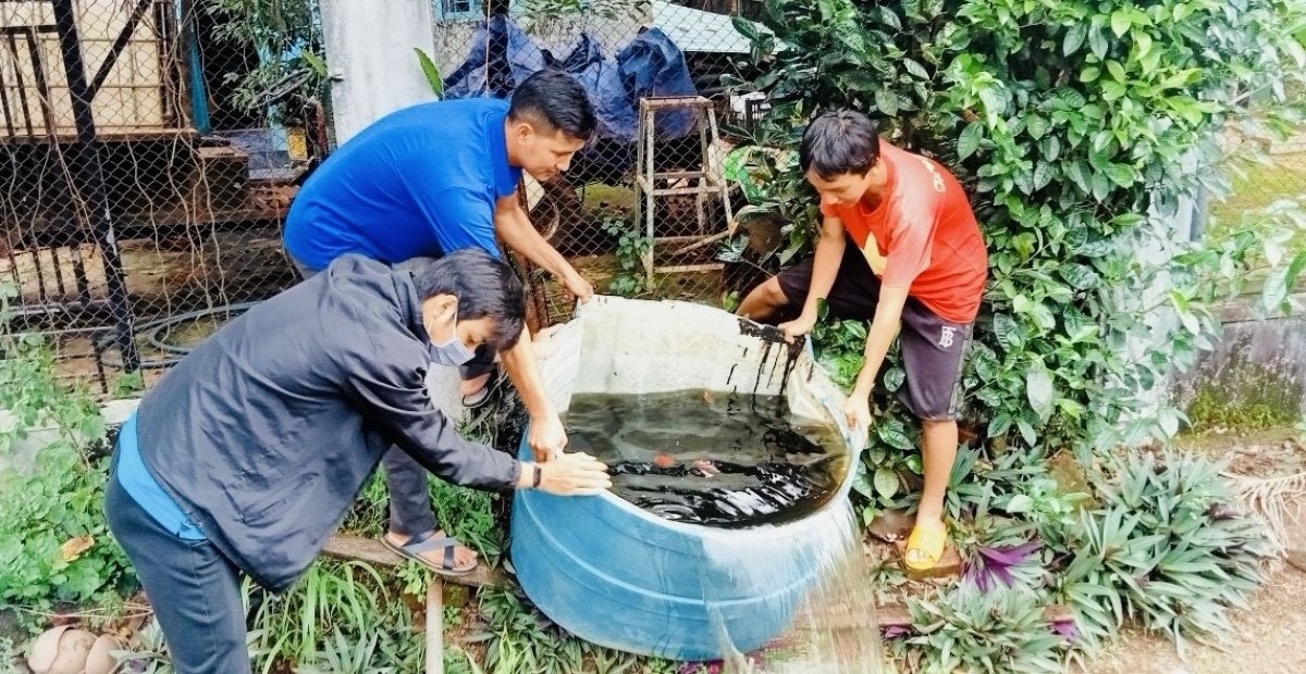 Gia Lai: Đa dạng hoạt động hưởng ứng Ngày ASEAN phòng chống sốt xuất huyết