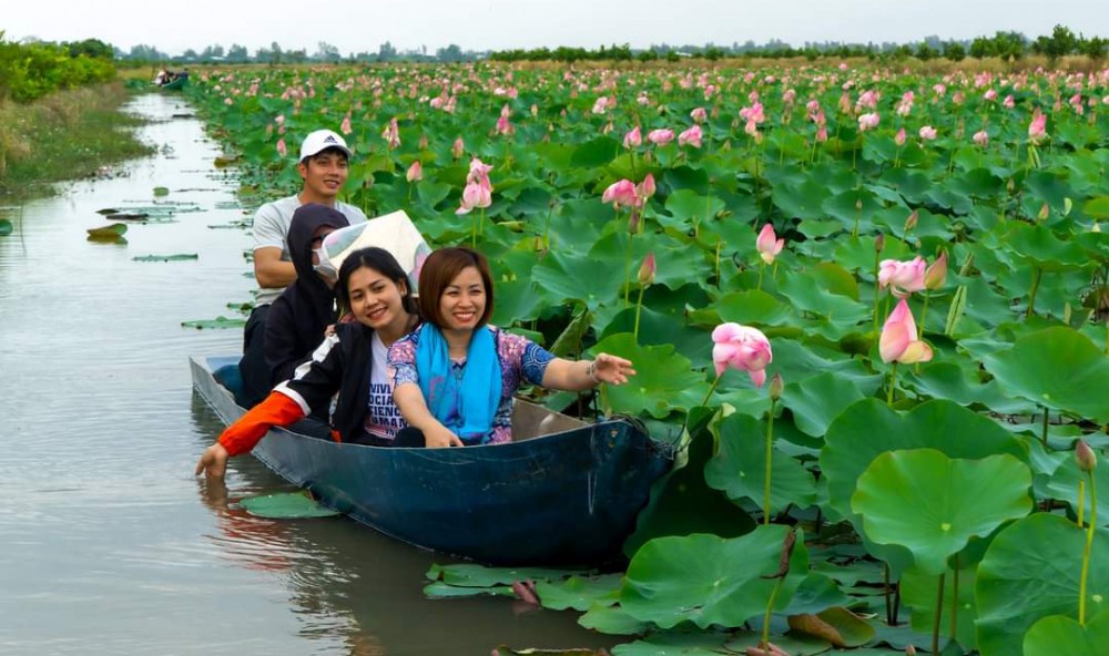 Đồng Tháp nâng cao chuỗi giá trị ngành hàng sen