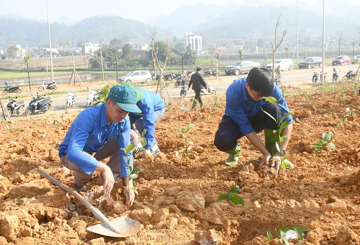 Lào Cai: Trồng mới gần 39.000 cây phân tán tại 2 huyện