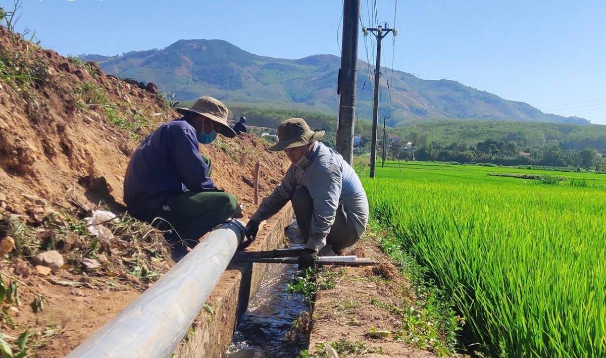 Triển khai linh hoạt các giải pháp phòng chống hạn, mặn cho cây trồng