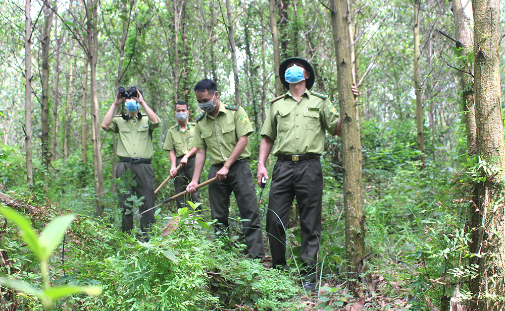 Đề xuất kinh phí hỗ trợ hoạt động bảo vệ rừng