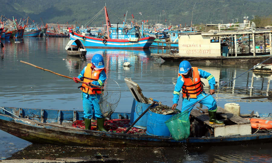 Nỗ lực khắc phục ô nhiễm môi trường tại âu thuyền và cảng cá Thọ Quang