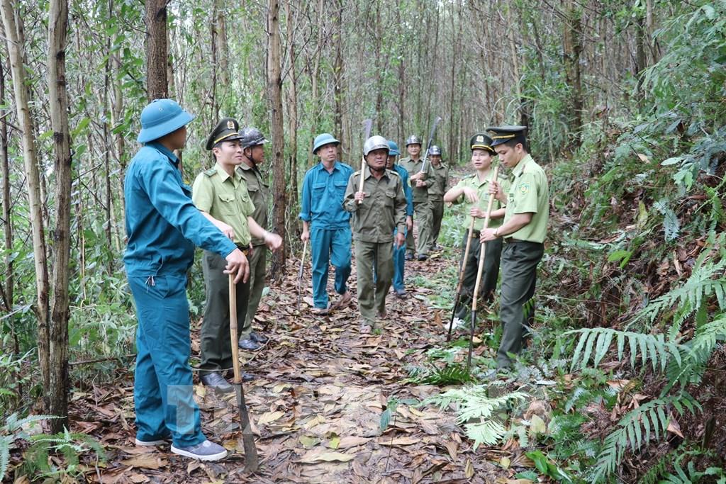 Bình Thuận: Chủ động phương án phòng chống cháy rừng tới từng tiểu khu