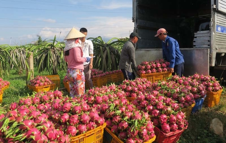 Giá trái cây tăng cao khi nông sản được thông quan sang Trung Quốc